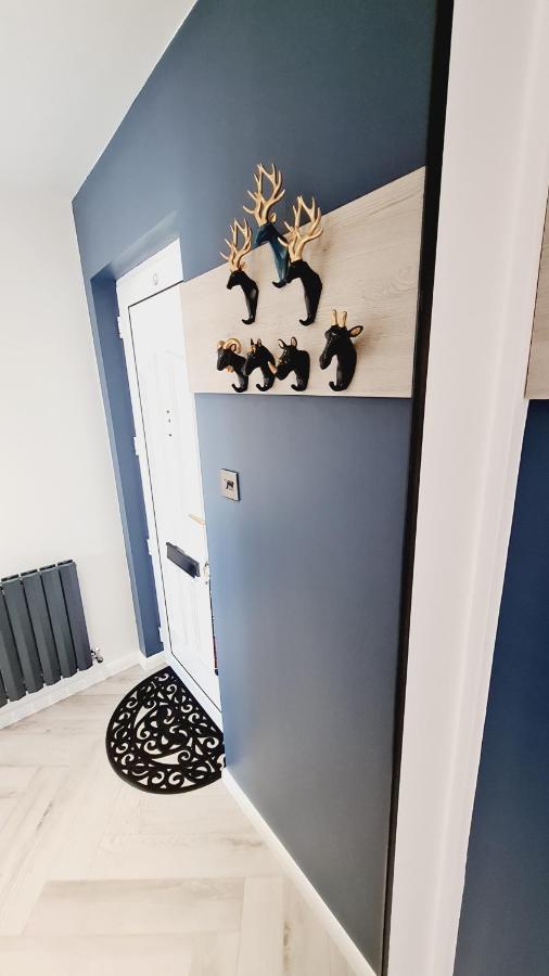 Beautiful 2Bed House With Garden, Walking Distance To Town - Free Parking Lägenhet Glasgow Exteriör bild